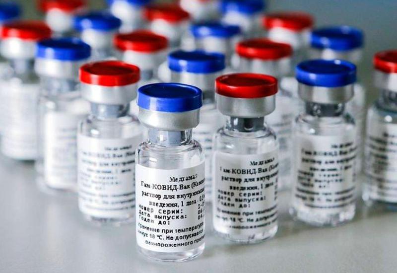 В Турции одобрили применение вакцины «Спутник-V»
