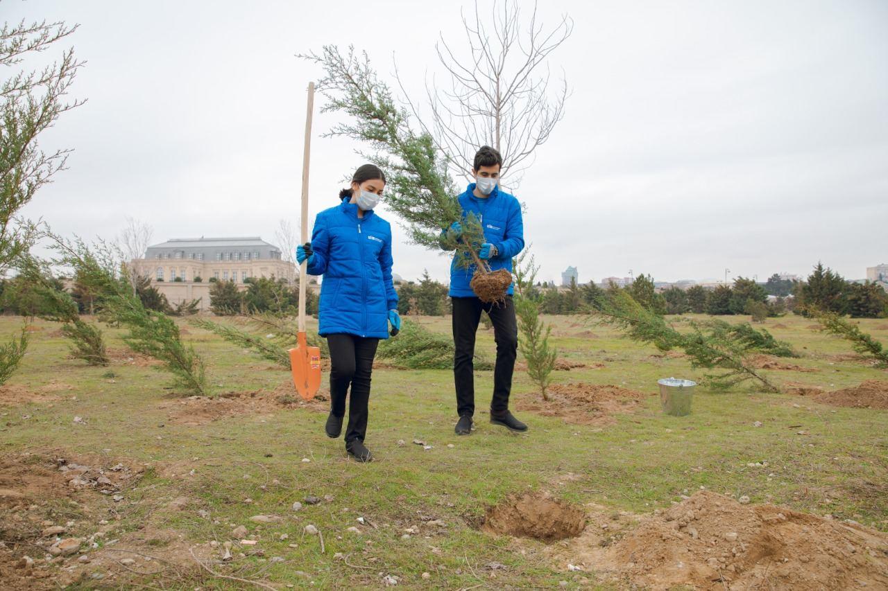 При совместной организации ИВ Баку и Общественного объединения "Региональное развитие" в Баку посажены деревья