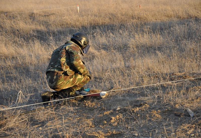 Азербайджанские и российские саперы обезвредили сотни мин