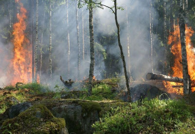 Более 800 га растительности сгорело в результате пожара на юге Франции