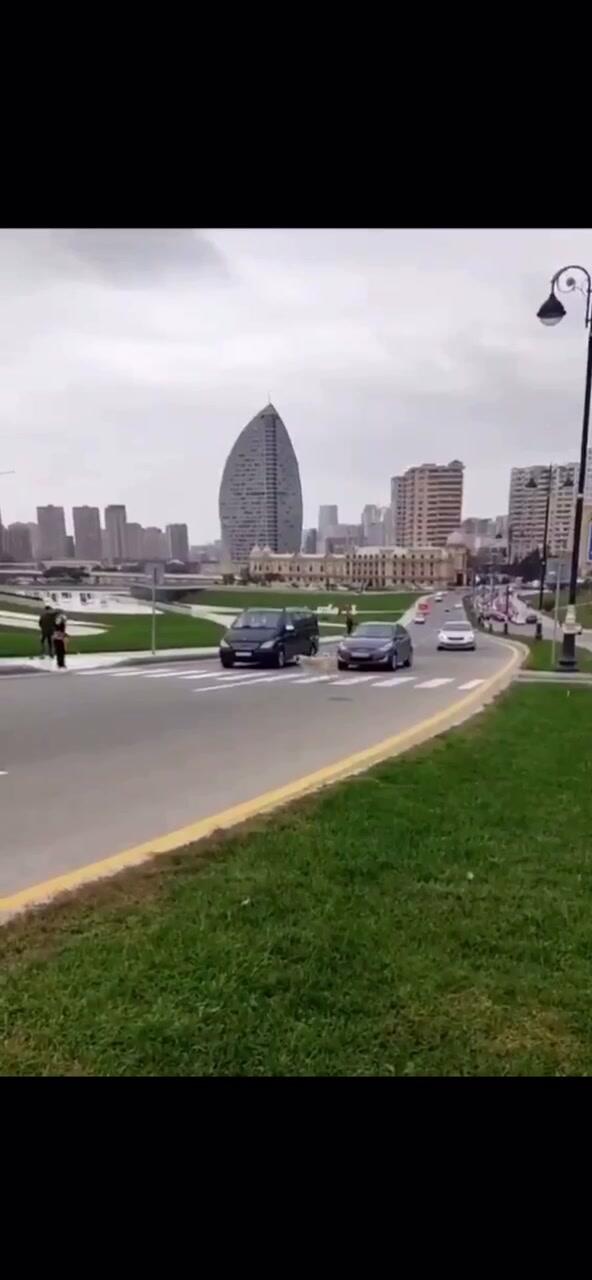 В Баку водители терпеливо ждали, пока пес переходил дорогу