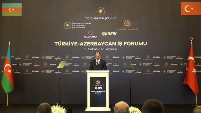 Турецко-Азербайджанский бизнес-форум в Анкаре