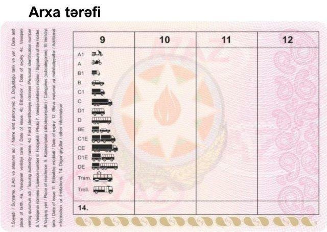 Так выглядят новые водительские удостоверения Азербайджана
