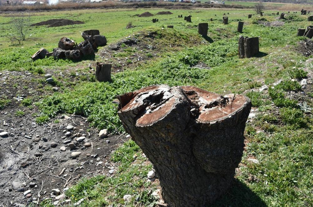 Армянские вандалы нанесли серьезный ущерб экологии Азербайджана