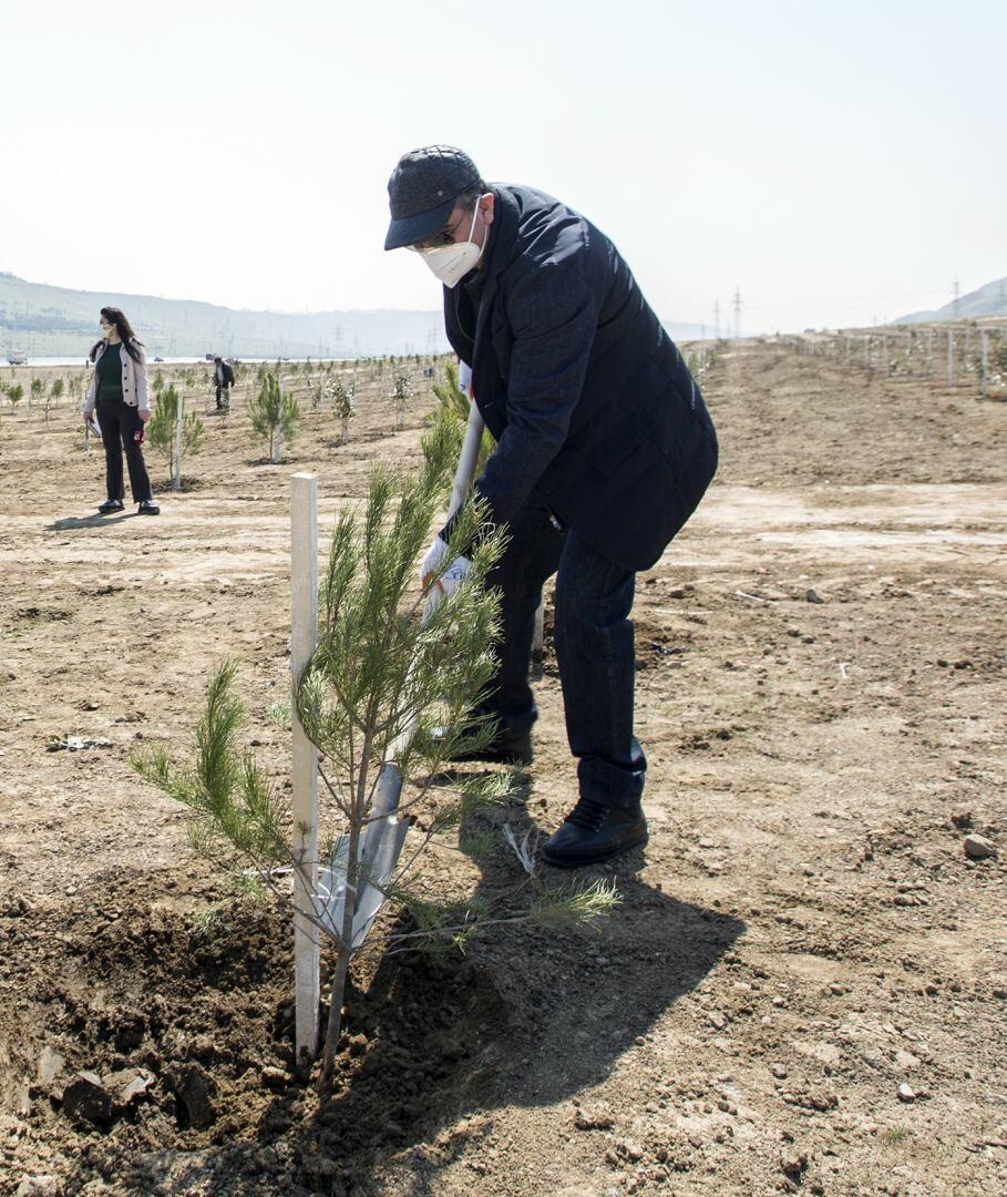 Азербайджанские таможенники присоединились к акции по посадке деревьев в рамках кампании "Зеленый марафон"