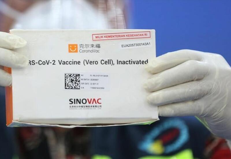 В Грузию до конца этого месяца будет доставлена вакцина «Sinovac»