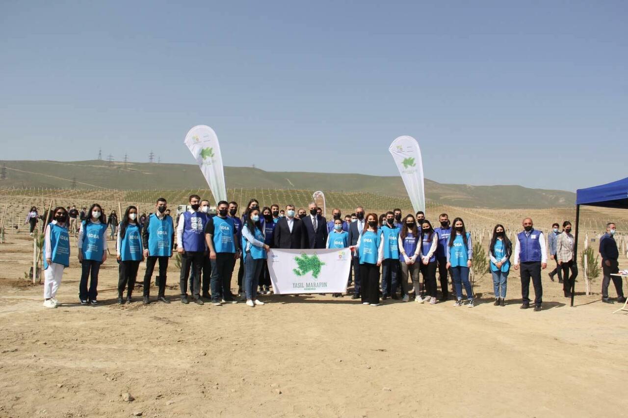 В Азербайджане успешно продолжается «Зеленый марафон»