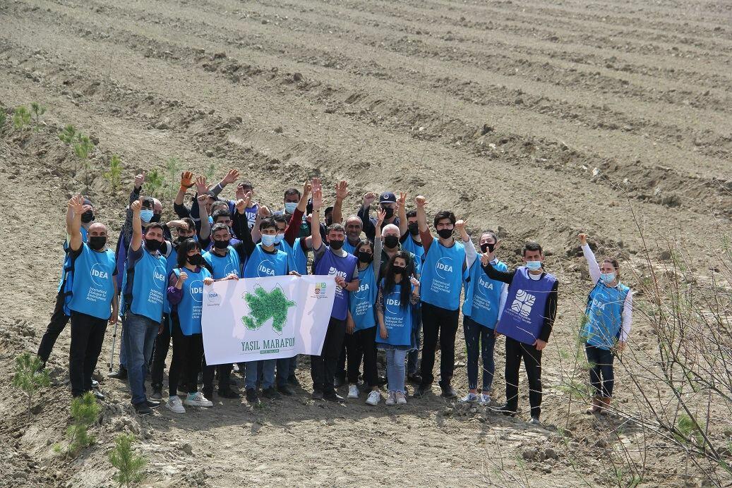 В Азербайджане в рамках проекта «Зеленый марафон» посажены медоносные деревья