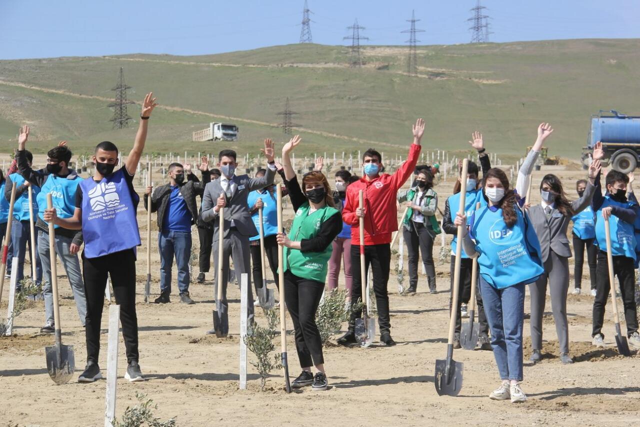 В Баку в рамках проекта «Зеленый марафон» прошла акция по посадке деревьев