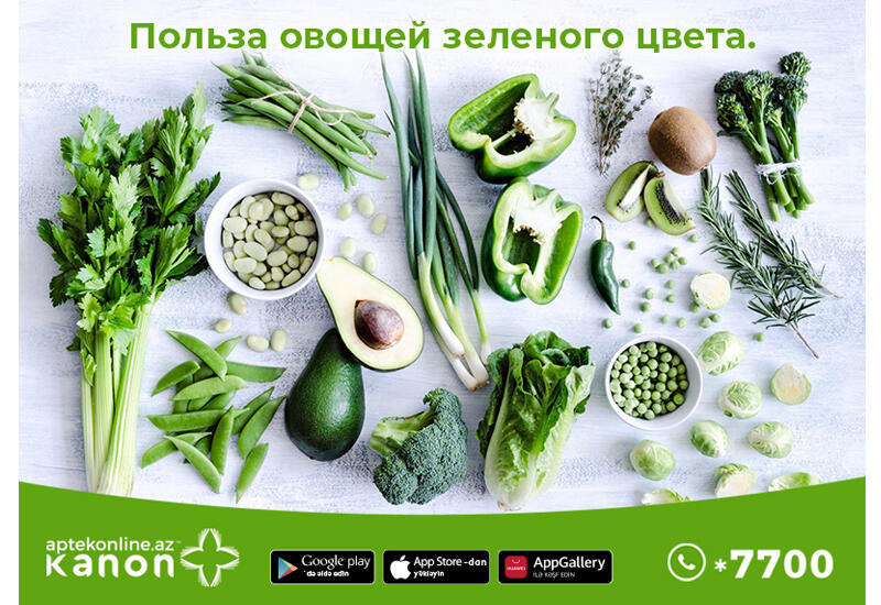 Польза овощей зеленого цвета