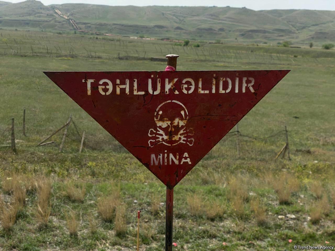 Суговушан и Талышкенд очищаются от мин для строительства ЛЭП