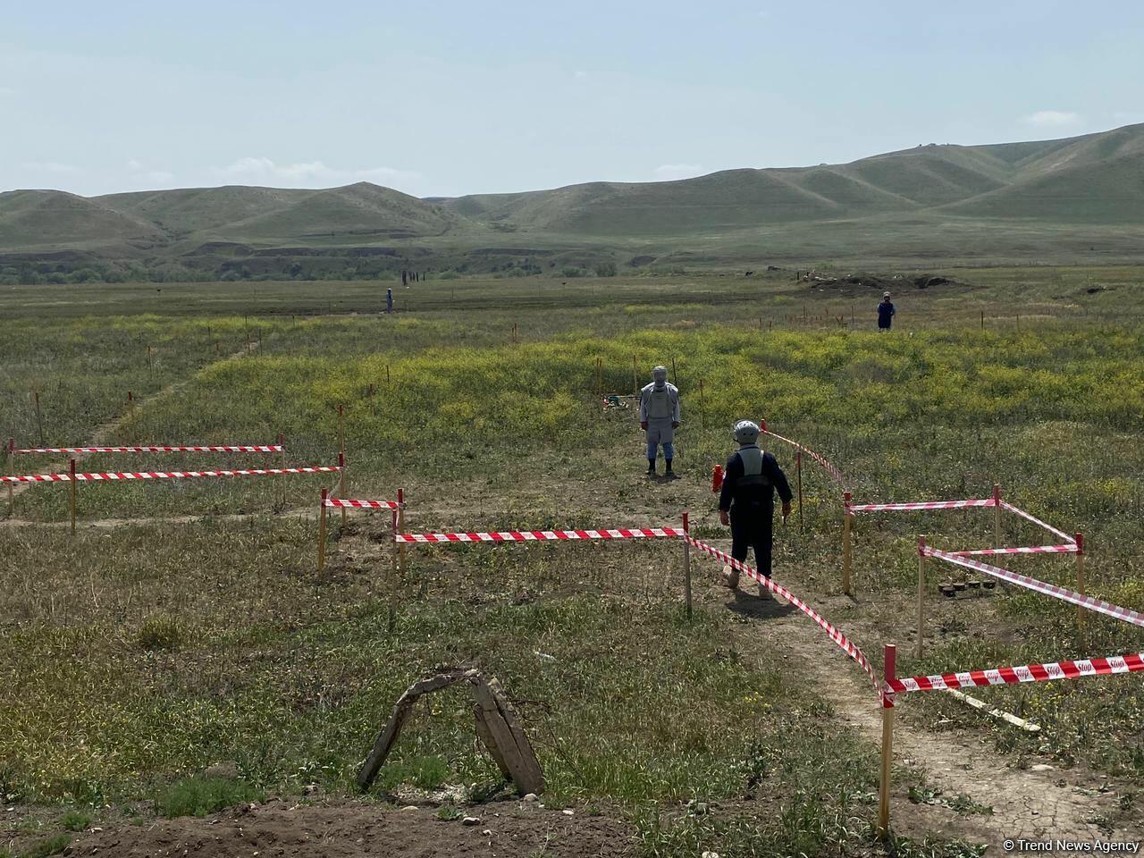 Суговушан и Талышкенд очищаются от мин для строительства ЛЭП