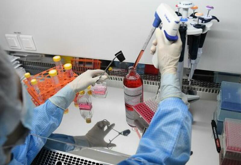 В Польше выявили "индийский" штамм коронавируса