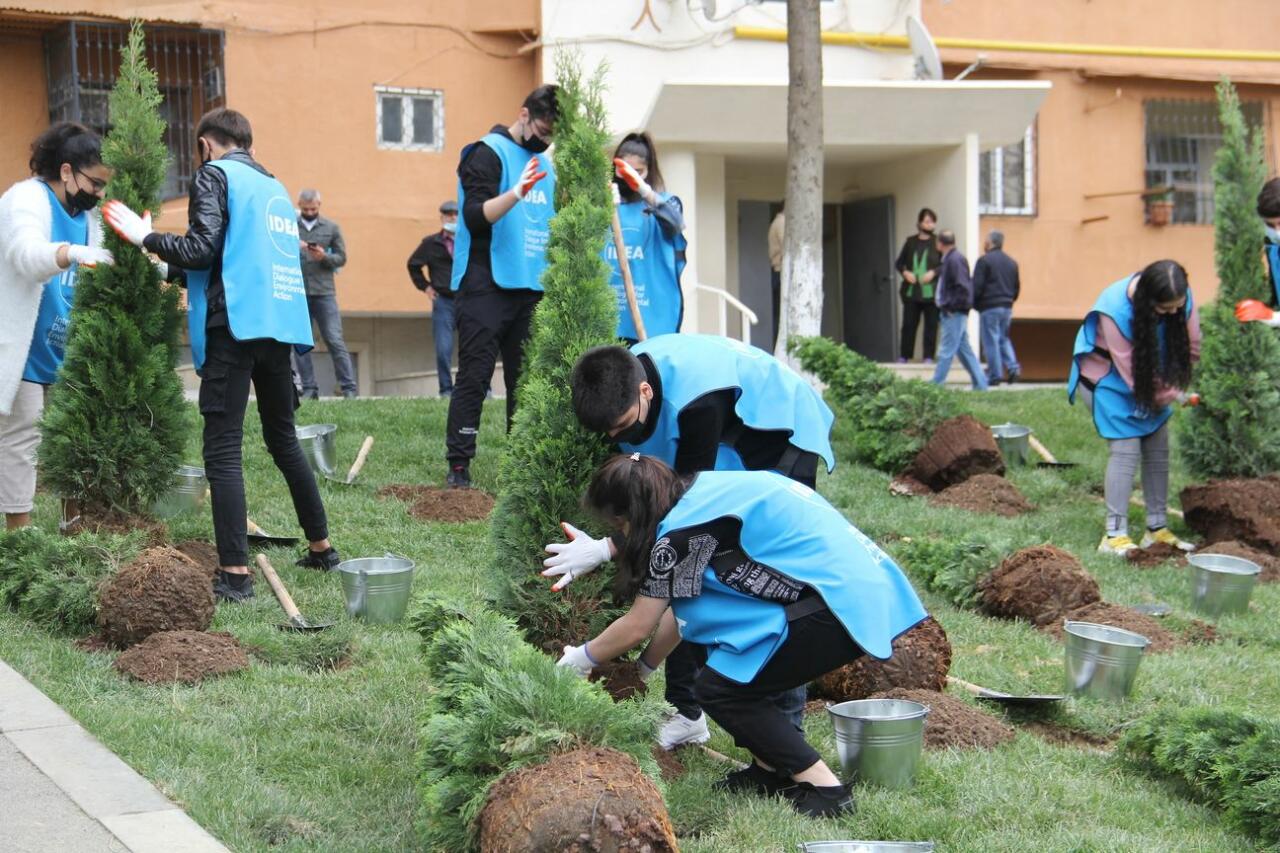 В Баку продолжается благоустройство дворов, нуждающихся в ремонте