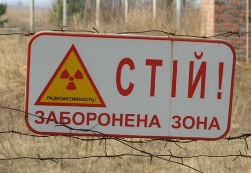 Ученые оценят влияние радиации на ос в Чернобыле