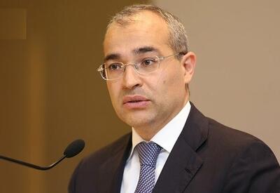 Правительство Азербайджана делает все необходимое для минимизации последствий роста цен - Микаил Джаббаров 
