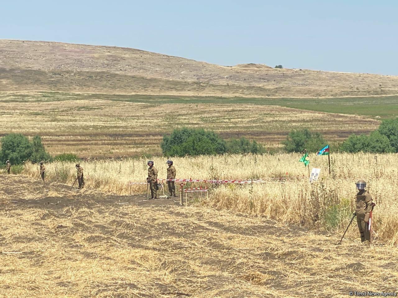 Свыше 7 тыс. гектаров освобожденных территорий Азербайджана очищено от мин