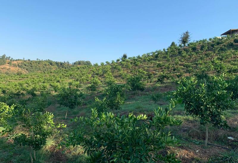 Aqrobağların salınması üçün təcrübəmizi Azərbaycanla paylaşmaq niyyətindəyik