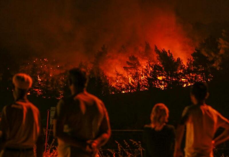 Турция запросила помощь ЕС в тушении лесных пожаров