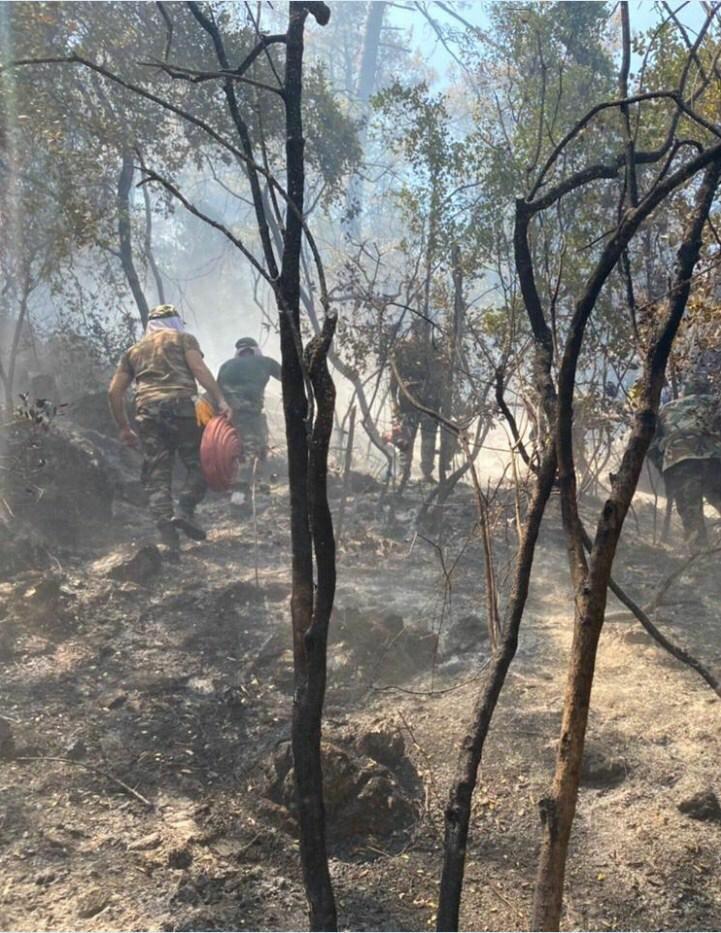 Азербайджанские пожарные продолжают бороться с лесными пожарами в Турции