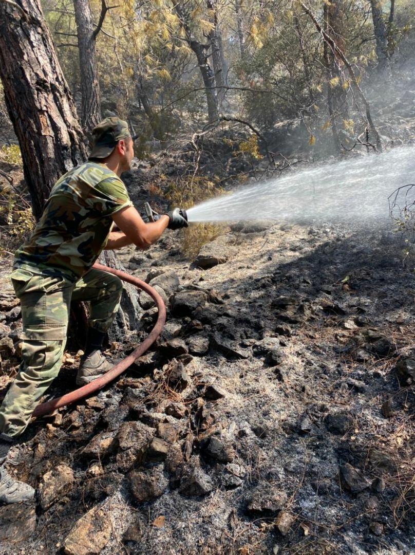 Новые кадры тушения лесных пожаров в Турции азербайджанскими пожарными