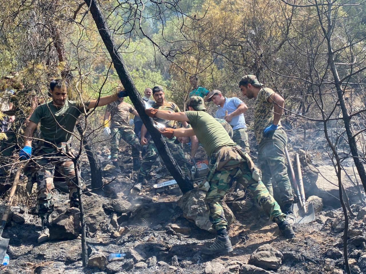 Новые кадры тушения лесных пожаров в Турции азербайджанскими пожарными