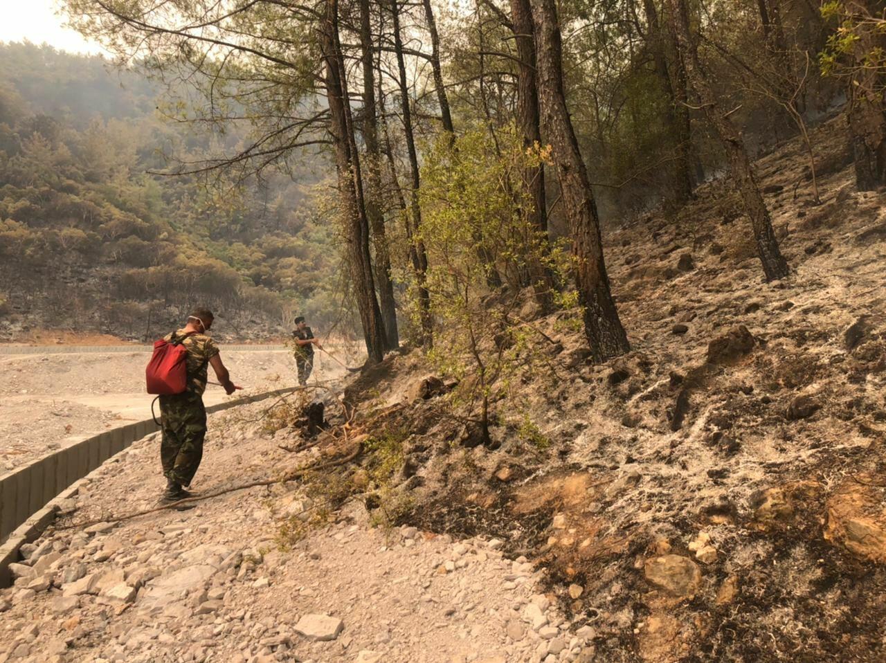 МЧС Азербайджана продолжают тушение лесных пожаров в Турции