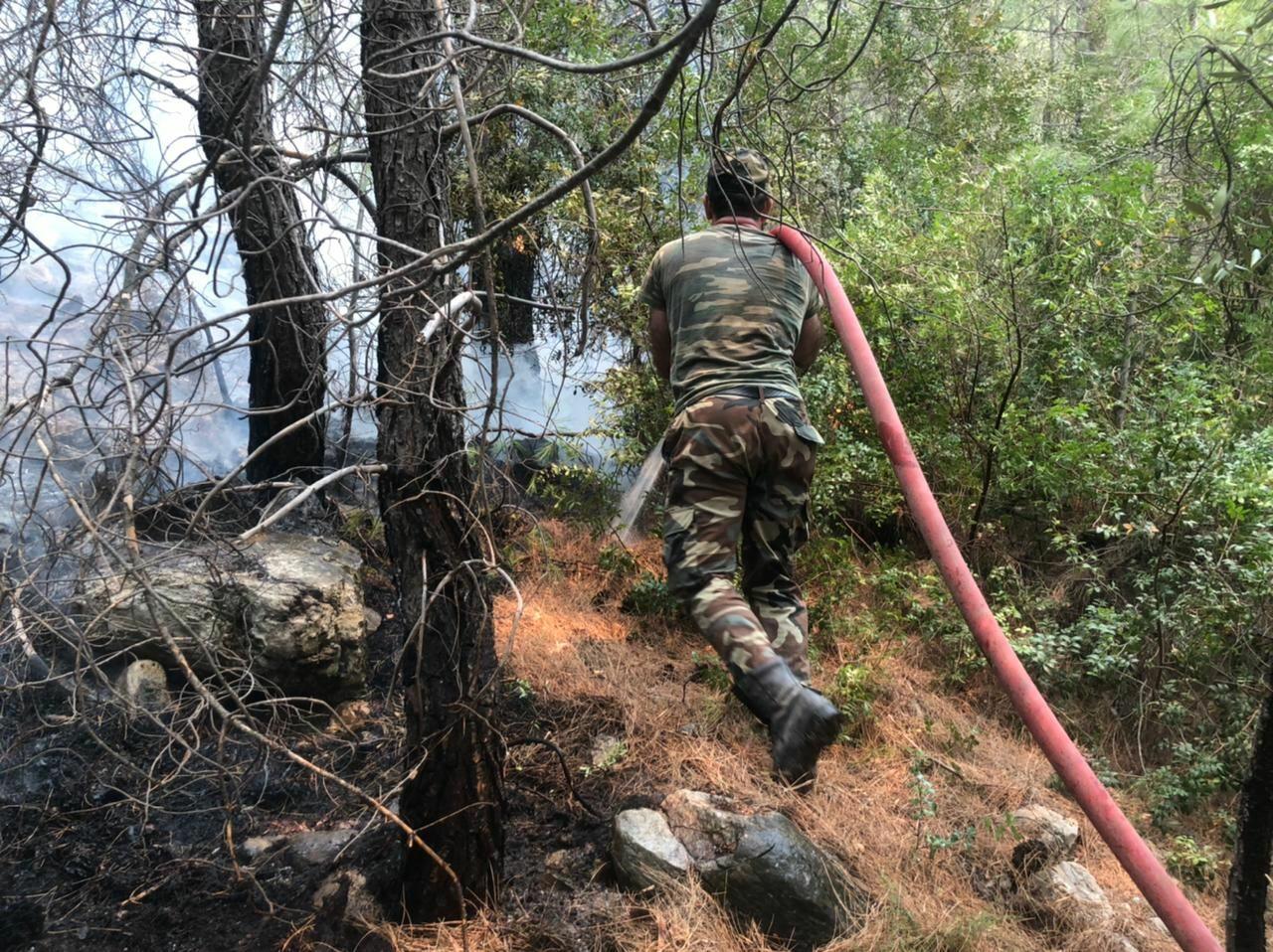МЧС Азербайджана продолжают тушение лесных пожаров в Турции