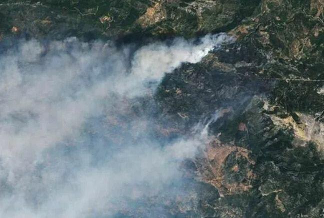 НАСА опубликовало спутниковые снимки лесных пожаров в Турции