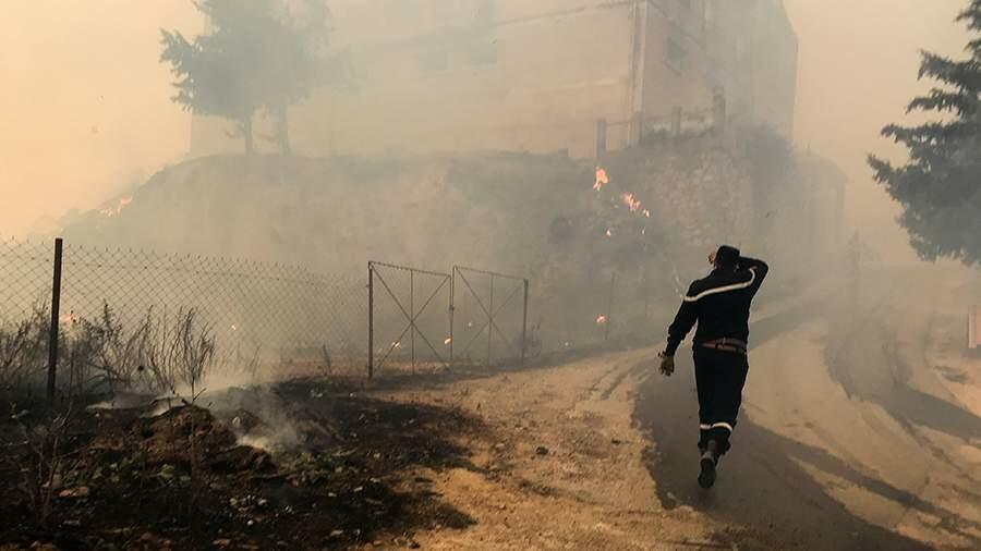 В Алжире не менее 25 военных погибли при тушении лесных пожаров