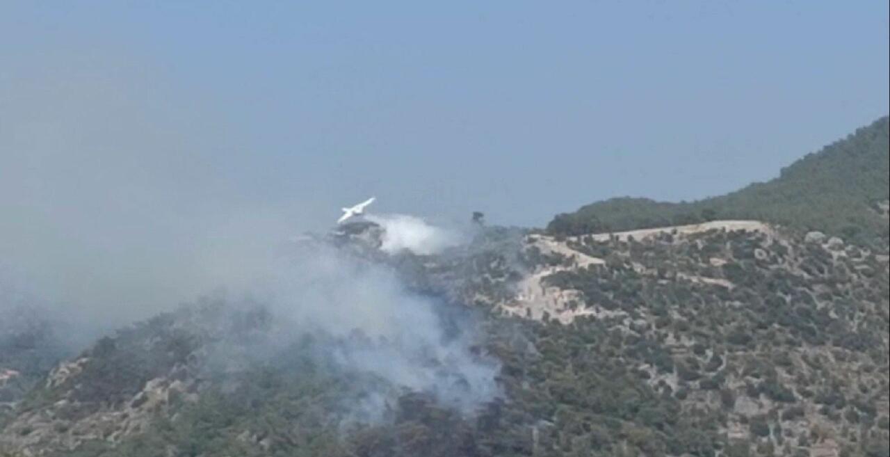 Силы МЧС Азербайджана продолжают борьбу с лесными пожарами в Турции