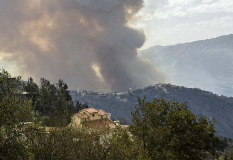 Стихийное бедствие на севере Алжира: десятки людей погибли в лесных пожарах