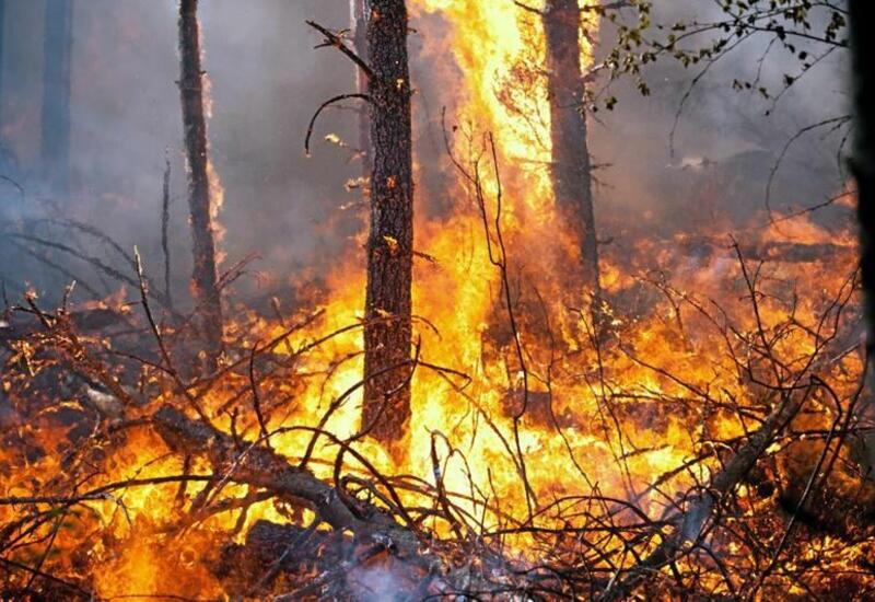 Сильные лесные пожары в Испании