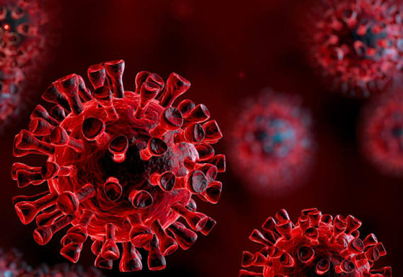 Разные штаммы коронавируса редко обмениваются генетическим материалом