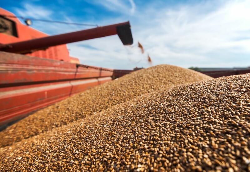 Цены на зерновые в мире снизились