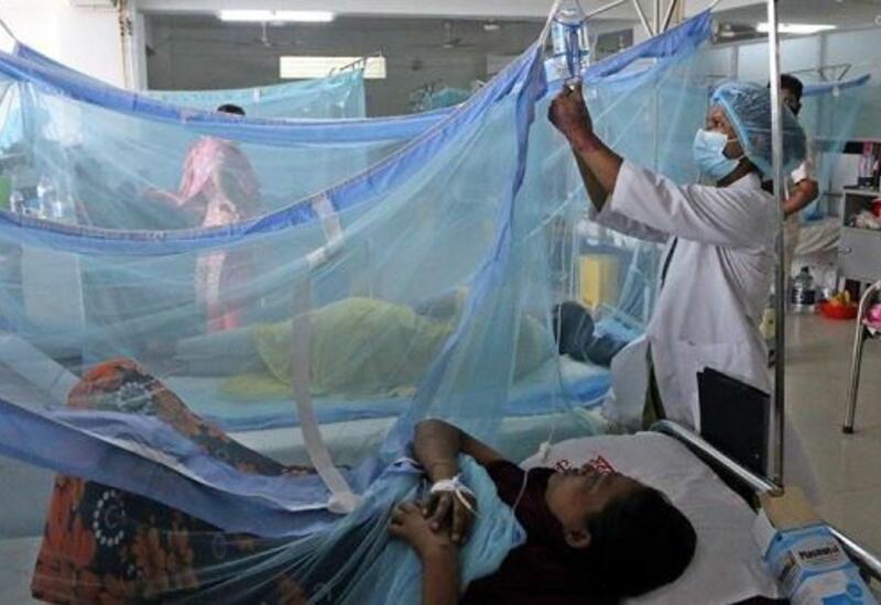 Число жертв лихорадки денге на севере Индии увеличилось до 120