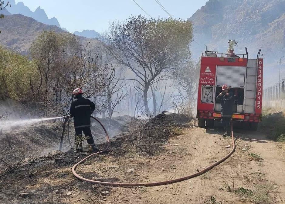 Zəngəzurdakı yanğını İran söndürür