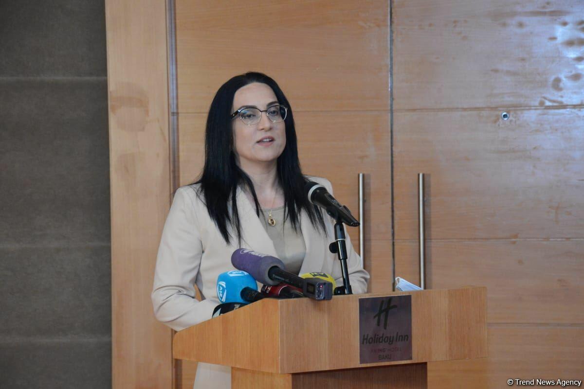 В Азербайджане создан единый информационный портал о шехидах