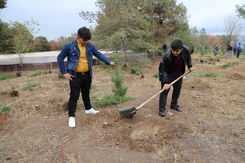 В Гяндже прошла акция по посадке деревьев при поддержке пользователей Birbank