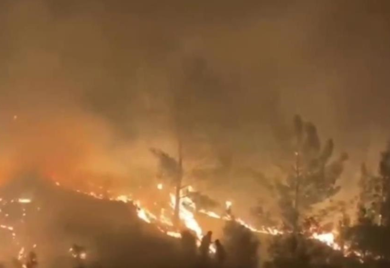 Сгорел шар. Пожары леса в Турции 2021. Пожар в Турции 2021. Лесные пожары в Турции 2021 год. Пожар в Турции лес.