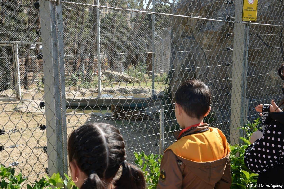 Первыми посетителями Бакинского зоопарка стали дети шехидов и воспитанники детдомов