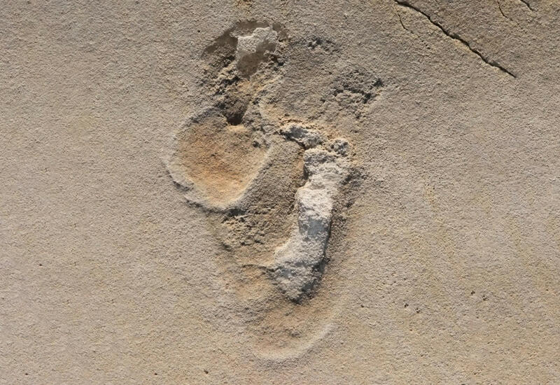 Палеонтологи нашли древнейший отпечаток ноги предка человека