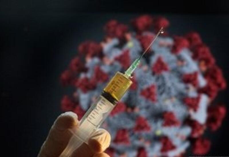 Турция подарила Узбекистану партию китайской вакцины Sinovac