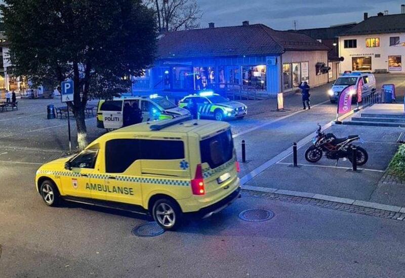 В Норвегии мужчина, вооружённый луком и стрелами, убил и ранил несколько человек