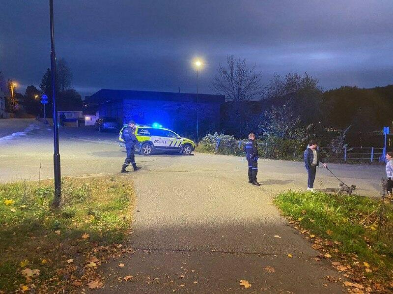 В Норвегии мужчина, вооружённый луком и стрелами, убил и ранил несколько человек