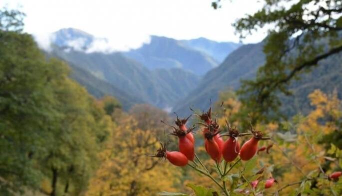 Осенняя красота национальных парков Азербайджана