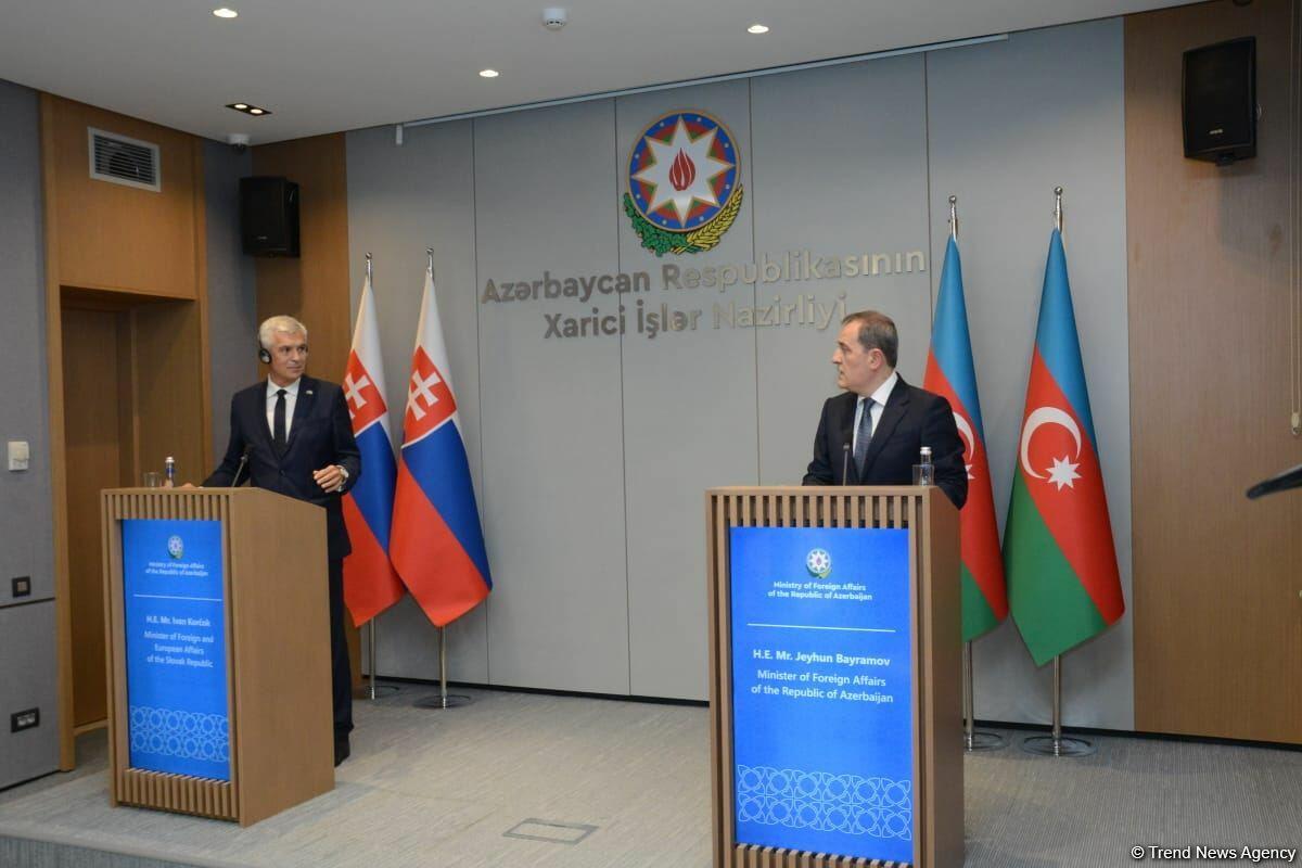 В Баку прошла совместная пресс-конференция глав МИД Азербайджана и Словакии