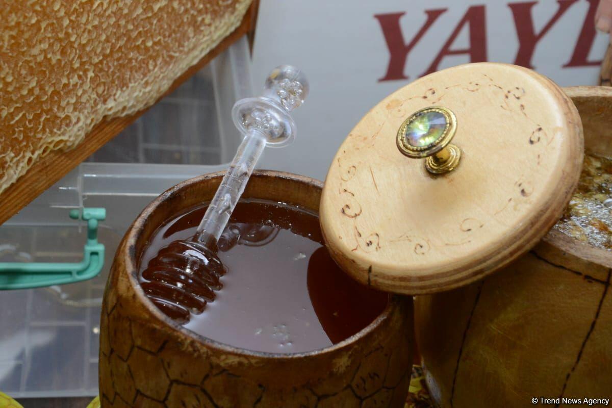 Мед из Кяльбаджара и Лачина на пчеловодческой выставке в Баку