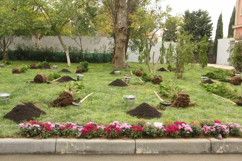 В рамках проекта "Наш двор" в Баку благоустроен очередной двор