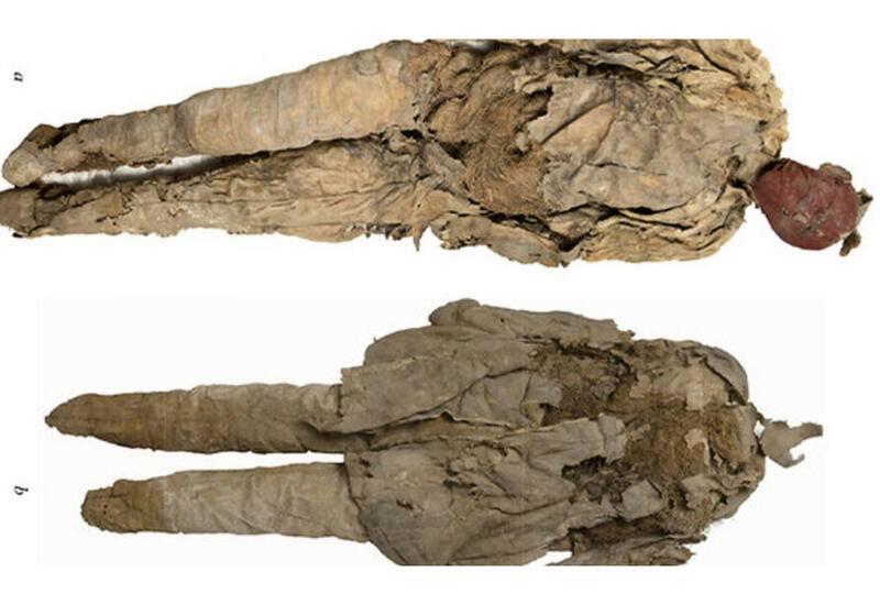 Определены останки, найденные внутри древней погребальной куклы в Хакасии